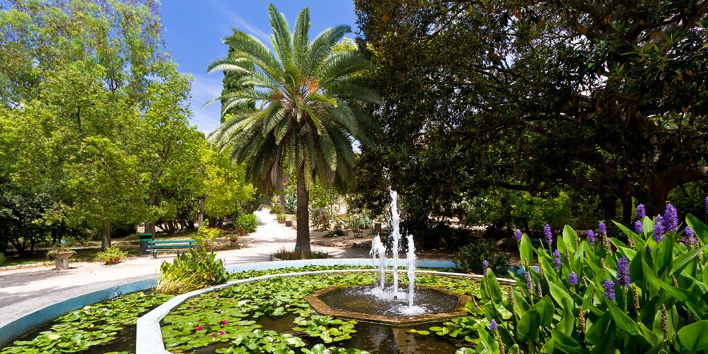 The University Botanical Gardens