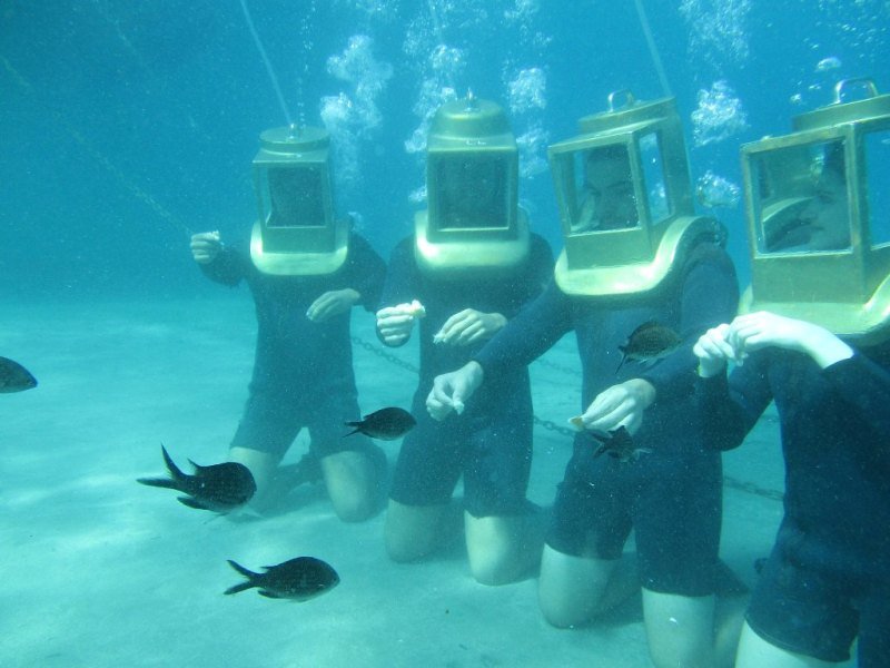Undersea Walkers